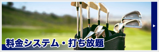 PEAR GOLF�b����s�̃S���t���K��y�A�S���t